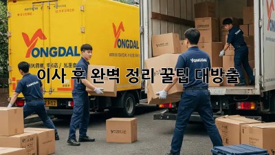이사 후 완벽 정리, 꿀팁 대방출! ✨