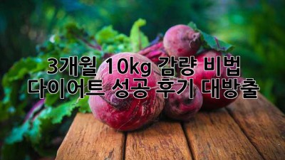 3개월 10kg 감량 비법 🤫 다이어트 성공 후기 대방출!